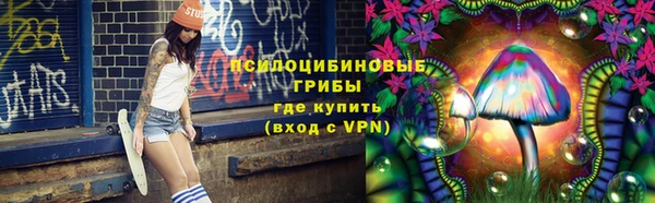 apvp Липки