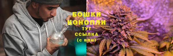 apvp Липки