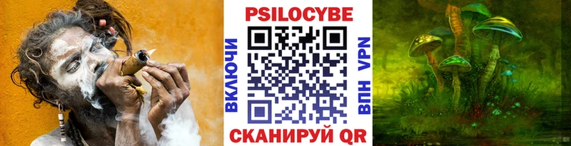 blacksprut ONION  это как зайти  Саратов  Псилоцибиновые грибы GOLDEN TEACHER  купить наркотики сайты 