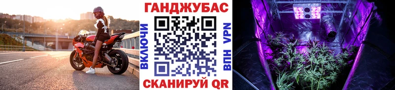 Конопля семена Саратов